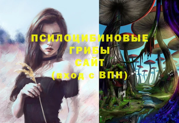 кокс Зеленодольск