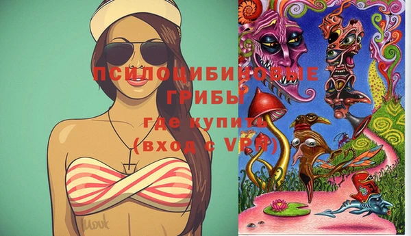 a pvp Абаза
