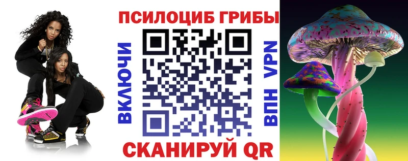 shop наркотические препараты Юхнов Псилоцибиновые грибы Psilocybe